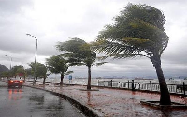 مقاييس أمطار الخير المسجلة في المملكة خلال 24 ساعة الأخيرة