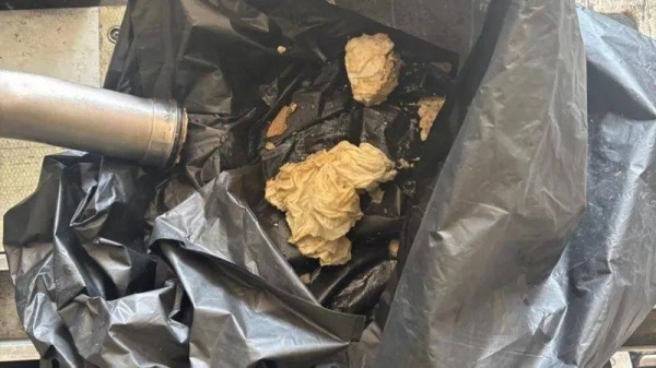 Air India confirms plane returned after plastic bags and rags clog toilets