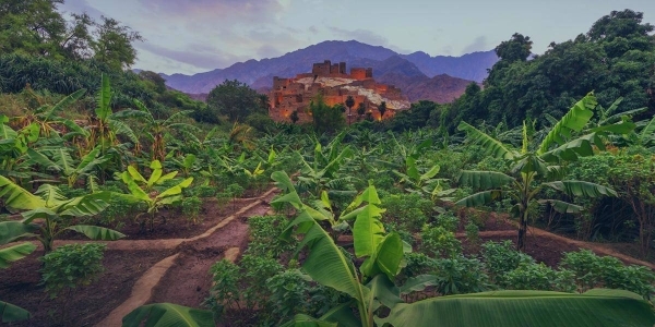 Saudi Arabia celebrates Saudi Green Initiative Day, highlights nationwide sustainability efforts