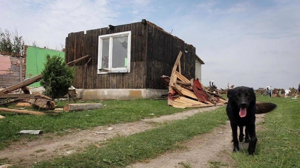 Around 30,000 people in Poland&#039;s south cut off from electricity after severe storms