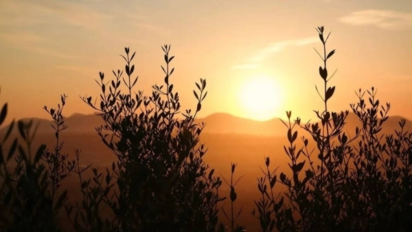 Summer season begins astronomically on Saturday