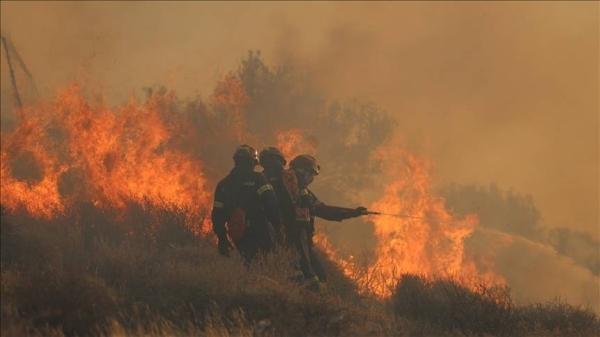 State of emergency declared in Crete after wildfire devastates Ierapetra