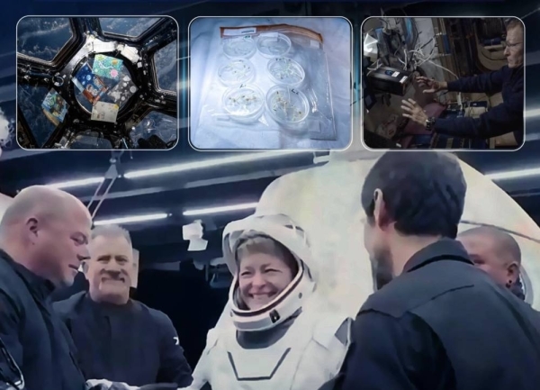 Arab student experiments return from ISS, Saudi Space Agency confirms success