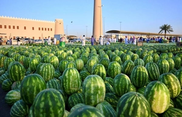 Saudi Arabia's watermelon harvest tops 610,000 tons