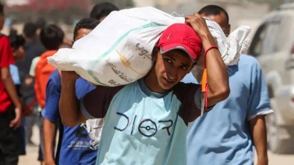 US envoy to visit Gaza, as hospital says dozens killed seeking food
