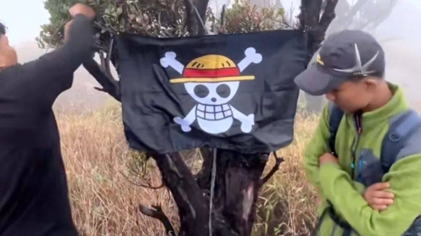 A cartoon skull becomes symbol of defiance in Indonesia