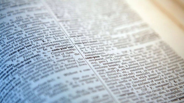 &#039;Skibidi&#039; and &#039;tradwife&#039; among words added to Cambridge Dictionary