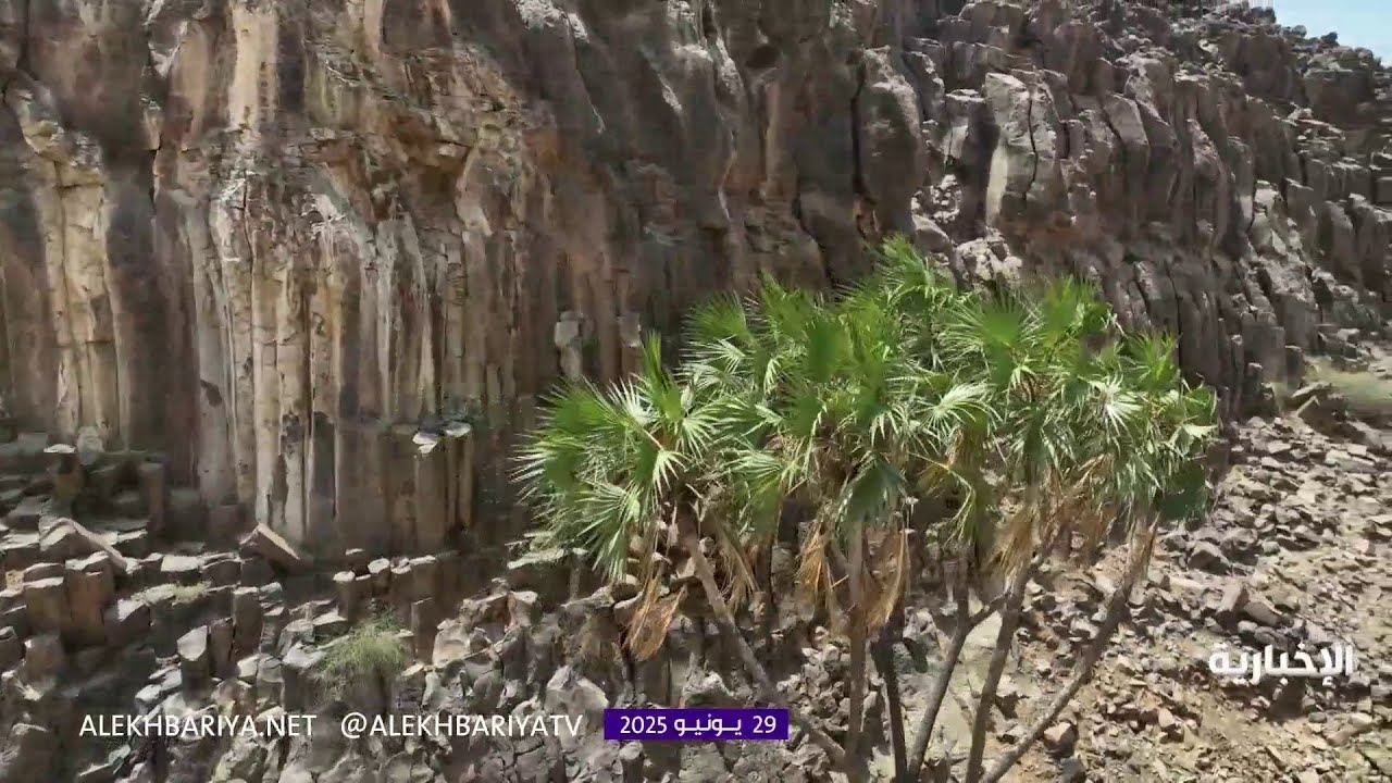 فيديو حرة البرك تعد من أقدم براكين المملكة