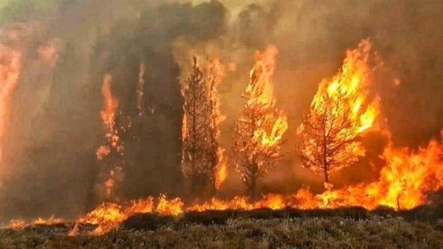 تنبيه من تزايد فرص اندلاع حرائق الغابات خلال الموجة الحارة