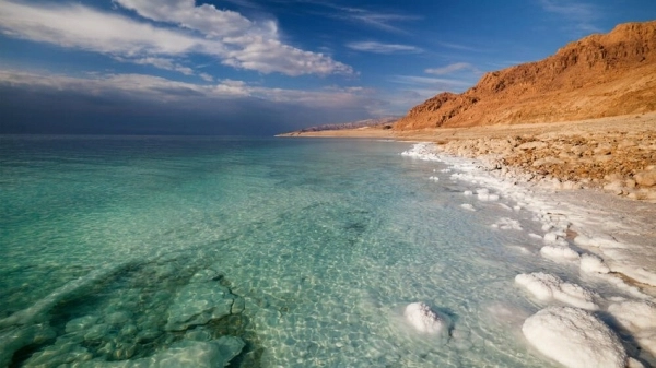 كائن دقيق بالبحر الميت يُحيي آمال العثور على حياة بالمريخ