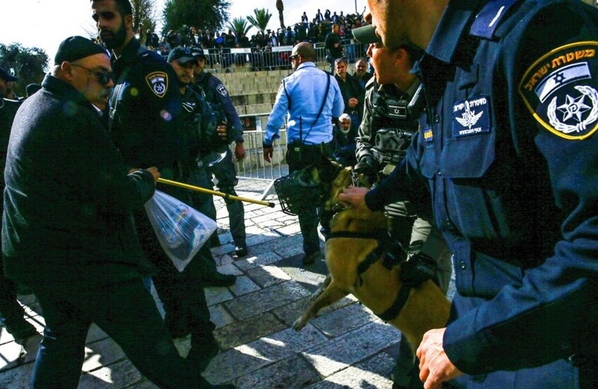 تقرير يكشف دور هولندا في تعذيب الفلسطينيين بواسطة الكلاب