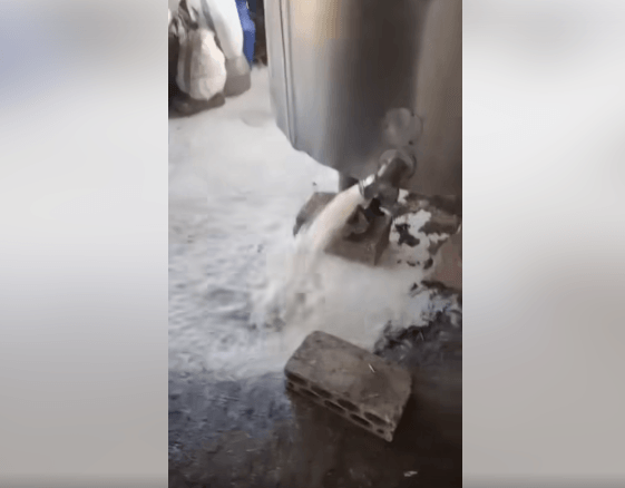 مربو أبقار يتلفون كميات كبيرة من الحليب إحتجاجا على ارتفاع كلف الانتاج