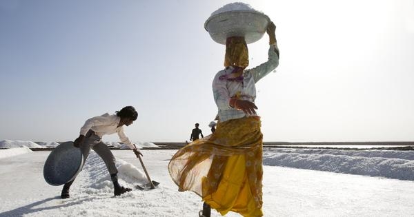 ‘Flowers of the Sun': Historian Mariam Dossal goes far and wide across Kutch to understand it