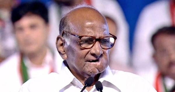 Maharashtra is not anti-Hindi, but it should not be imposed on primary school students: Sharad Pawar