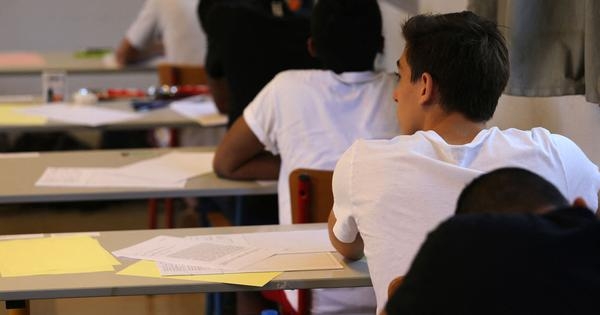 Haryana CET 2025: Applications open for Group C, D government jobs tomorrow