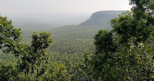 ‘Conflict of interest' in SC-appointed panel may compromise cases against forest law: ex-bureaucrats
