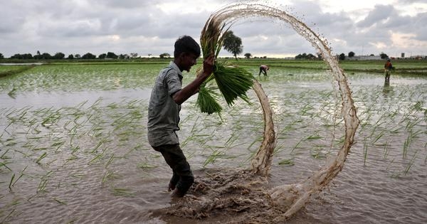 Farmer seek MSP for natural farming produce
