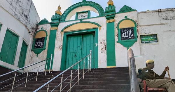Sambhal violence: Crowd protesting mosque survey was not violent, say civil rights groups