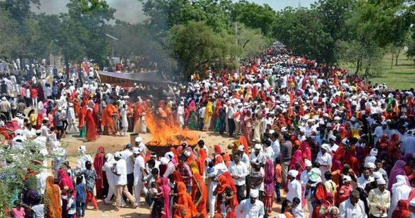 ‘My Head For A Tree': A moving account of the Bishnoi community's reverence for all forms of life
