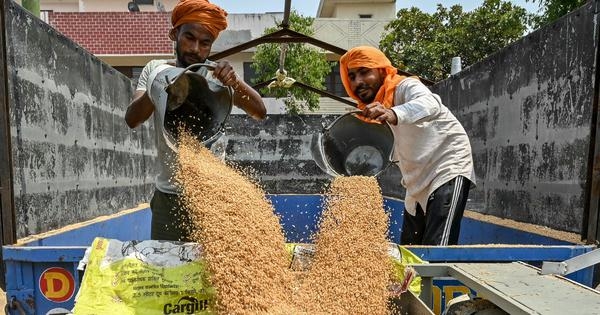 India's census delay is denying millions subsidised foodgrains