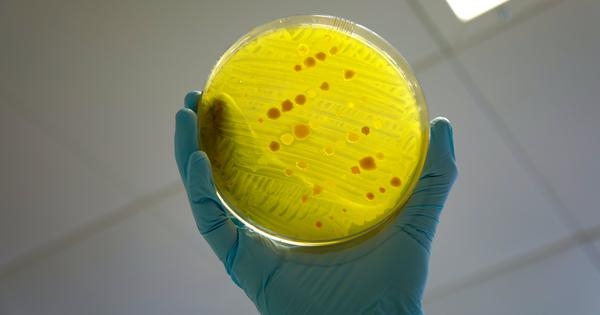 Antibiotic resistance is millions of years old – modern medicine could learn from this history