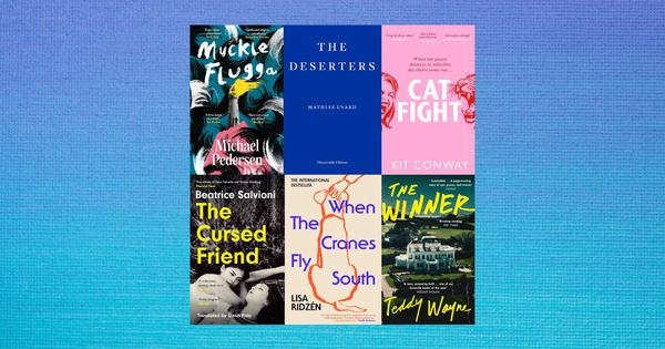 May global fiction: Six new novels about the strange times we live in