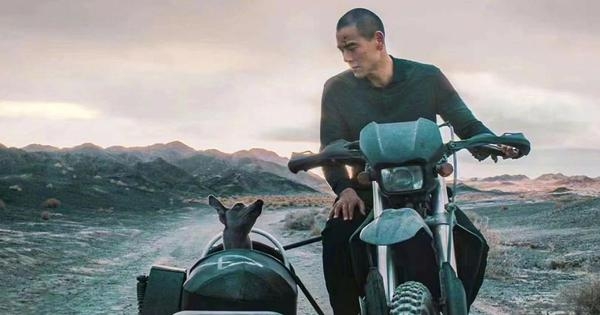 Start the week with a film: ‘Black Dog' is a poignant tale of feral dogs and stray humans