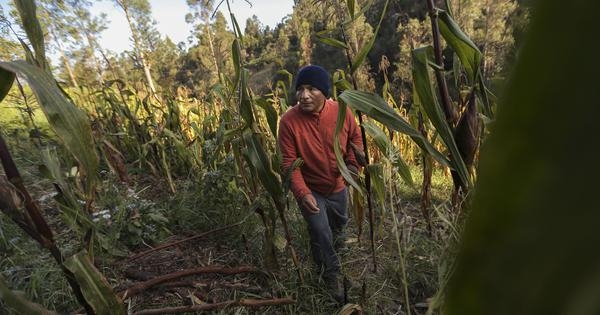 Court rejects Peruvian farmer's case against German firm – but opens new door for climate justice