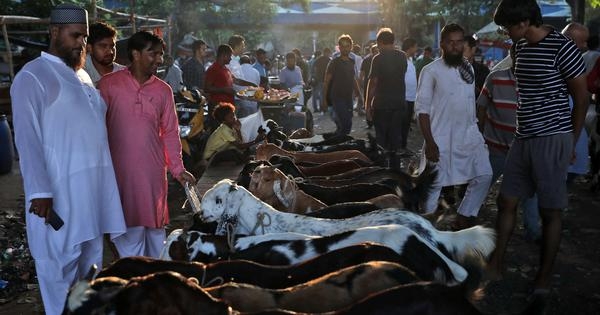 Maharashtra livestock commission asks animal markets to close during Bakri Eid week