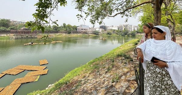 Hauz-i-Shamsi: Delhi's Sultanate-era reservoir turns climate buffer, haven for migratory birds