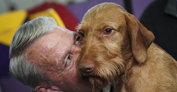 Are our pampered pets really living their best life?