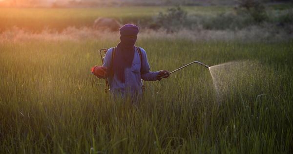 A Swiss court's decision on use of a pesticide sends a hopeful message to Indian farmers