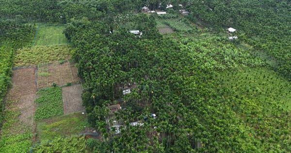 Assam: Evicted residents claim government had helped them settle in disputed area in 1970s