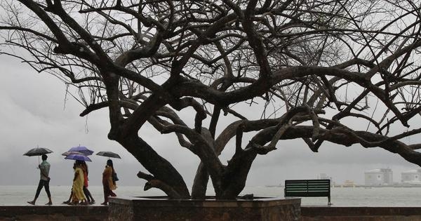 Going off script: Our front row view of another Kerala story