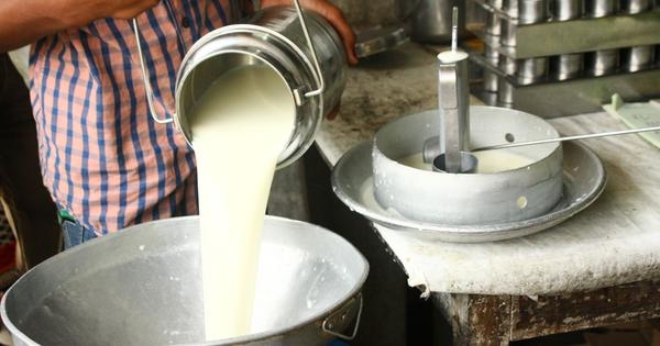 The milk industry produces tonnes of wastewater. Plant-based coagulants can help clean up