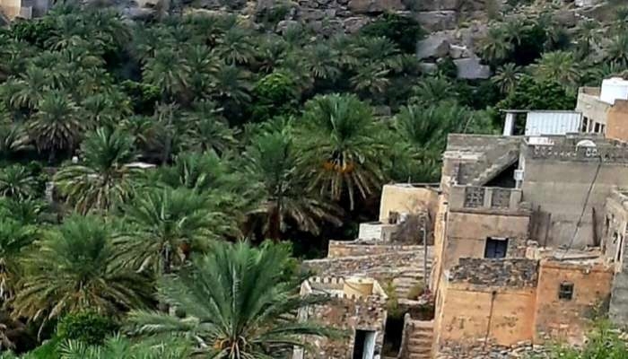 Ministry of Heritage and Tourism launches promotional plan for 2025