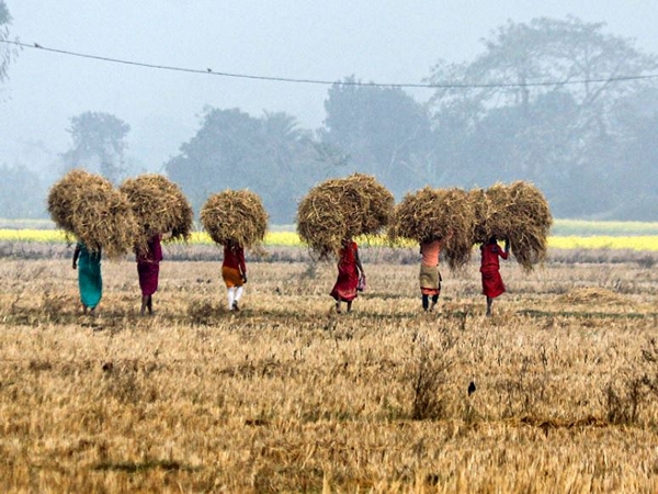 India's union budget 2025-26 unveils a 'package of hope' for rural region