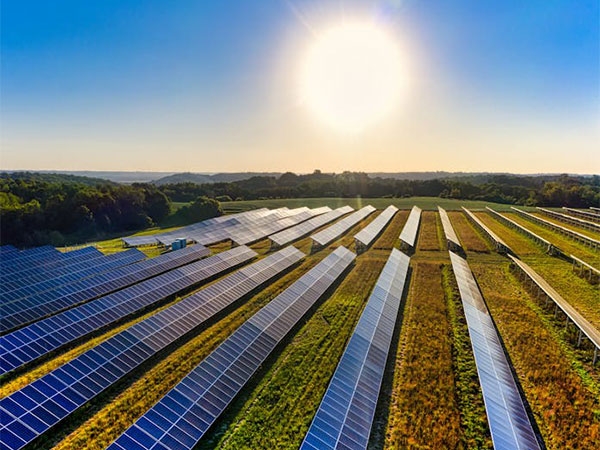 India emerges as a global leader in clean energy transition