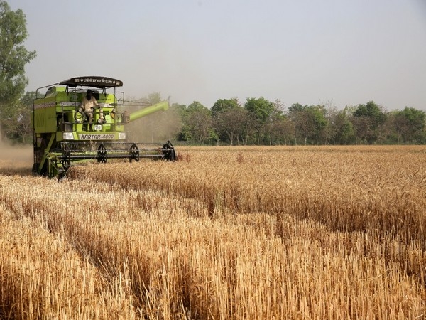 India may not lose much in agriculture due to Trump's tariffs: Economist Ashok Gulati
