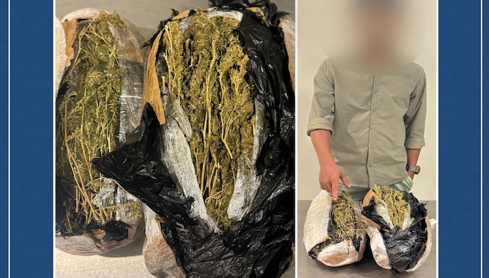 Over 2 kgs of Marijuana seized at Muscat International Airport