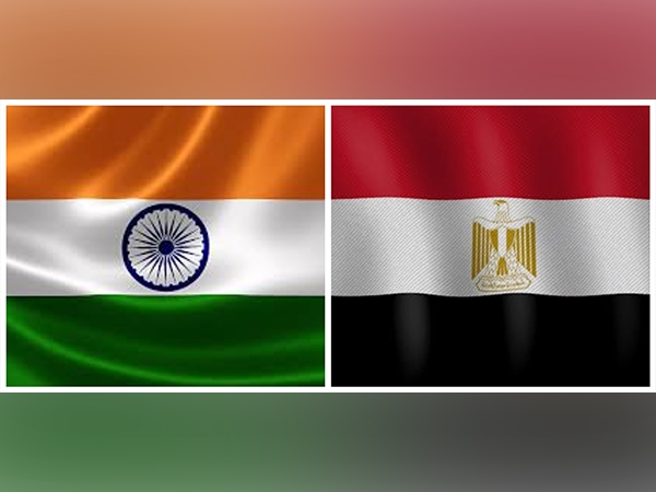 India, Egypt agree to strengthen joint efforts in combating terrorism