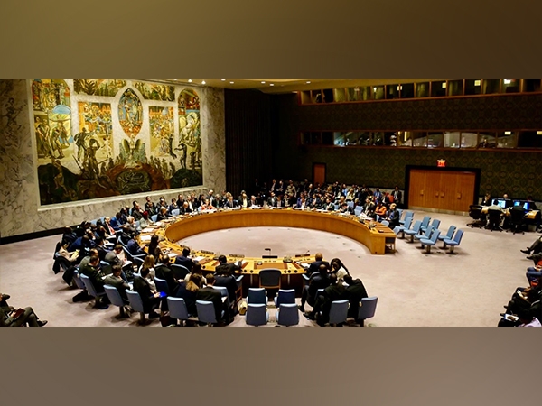 UNSC to hold closed-door meeting on India-Pakistan situation
