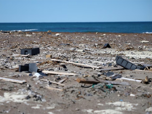 EU-India to jointly find solutions to marine pollution, waste to green hydrogen