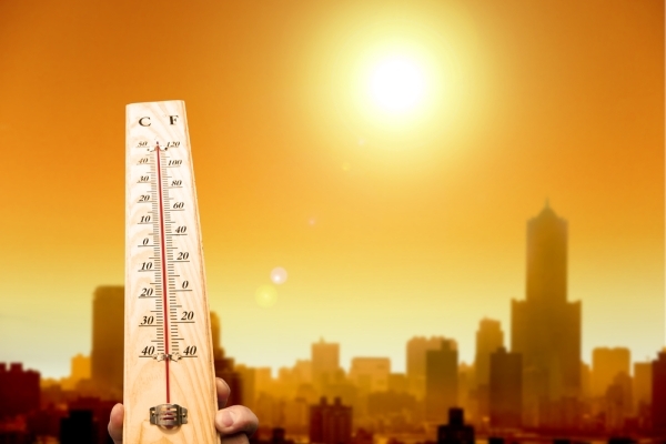 Temperature approaches 50 degrees Celsius in parts of Oman