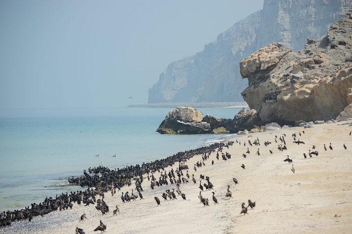 Oman's Ministry focuses on 'Sustainable Tourism'