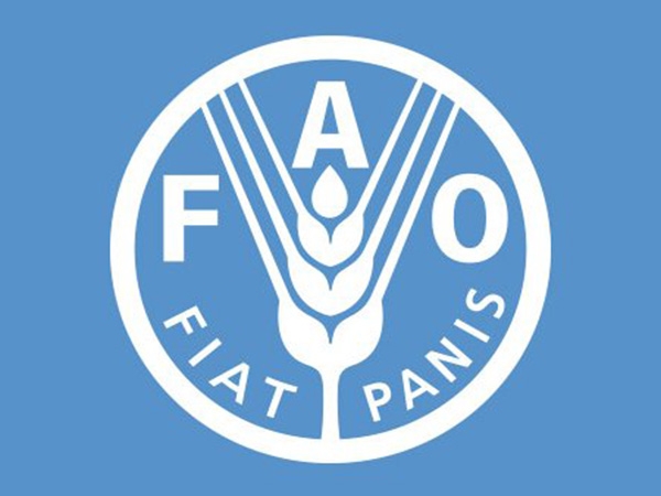 Tackling water scarcity requires speed, scale, determination, FAO says