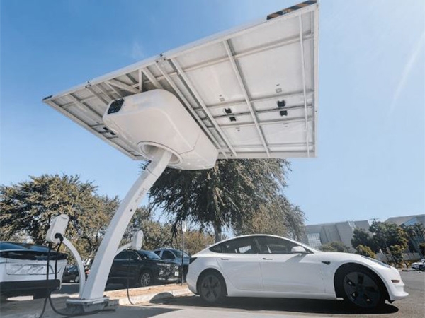Electric cars key to India's energy independence, says IEA chief