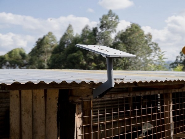 Elon Musk's Starlink gets license to offer satellite internet services in India