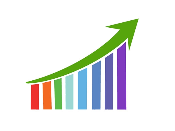 Credit growth influenced by economic activity rather than surplus liquidity: Report