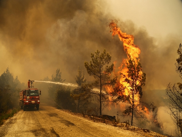Over 50,000 evacuated as Turkiye battles Izmir wildfires for second day